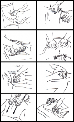 Técnicas del (I) - Posición básica de las manos